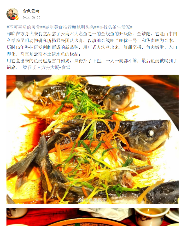 食色云南.png